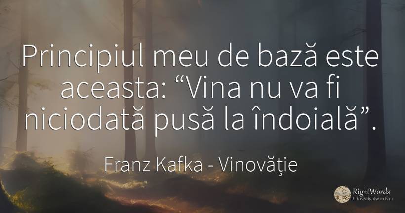 Principiul meu de bază este aceasta: Vina nu va fi... - Franz Kafka, citat despre vinovăție, principiu, îndoială