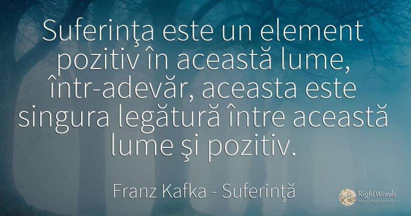 Suferinţa este un element pozitiv în această lume, ... - Franz Kafka, citat despre suferință, lume, adevăr