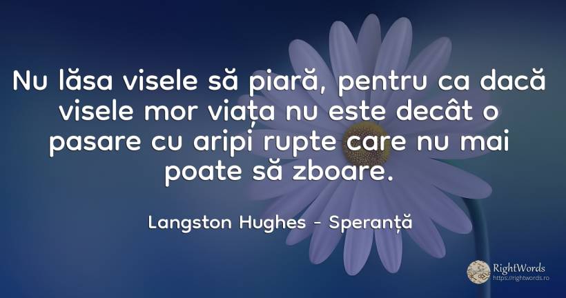Nu lăsa visele să piară, pentru ca dacă visele mor viața... - Langston Hughes, citat despre speranță, vis, viață
