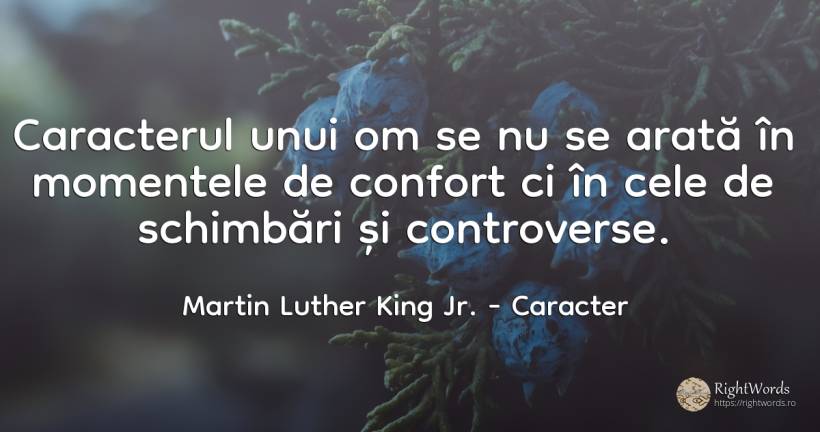 Caracterul unui om se nu se arată în momentele de confort... - Martin Luther King Jr. (MLK), citat despre caracter