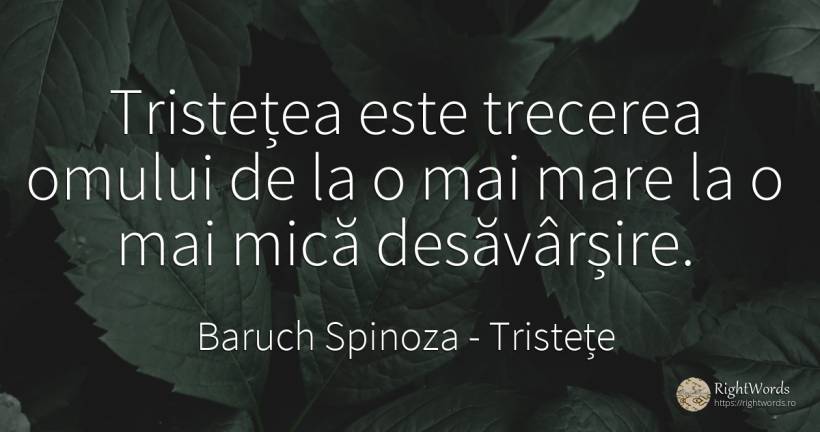 Tristetea este trecerea omului de la o mai mare la o mai... - Baruch Spinoza, citat despre tristețe