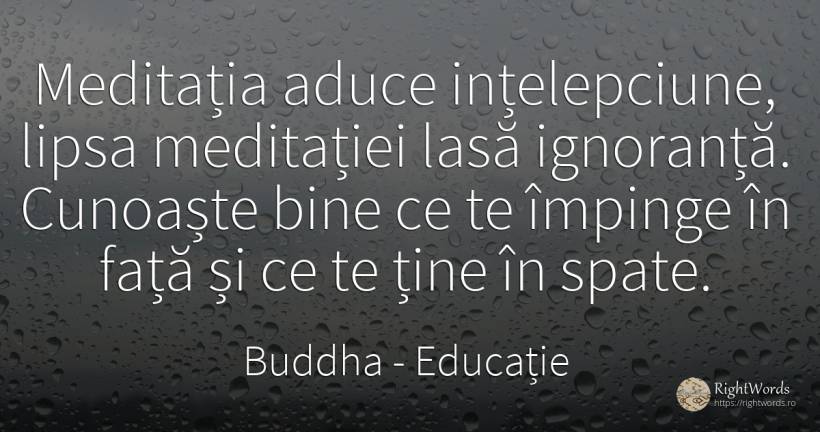 Meditatia aduce intelepciune, lipsa meditatiei lasa... - Buddha (Gautama Siddhartha), citat despre educație, meditație, ignoranță, înțelepciune, față, bine