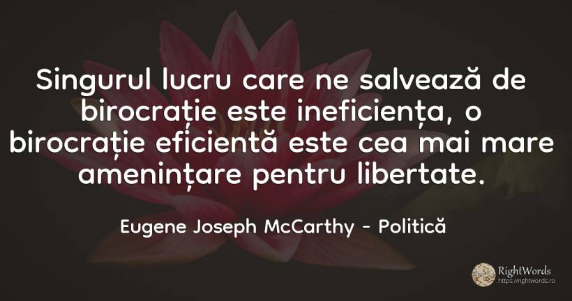 Singurul lucru care ne salveaza de birocratie este... - Eugene Joseph McCarthy, citat despre politică, libertate