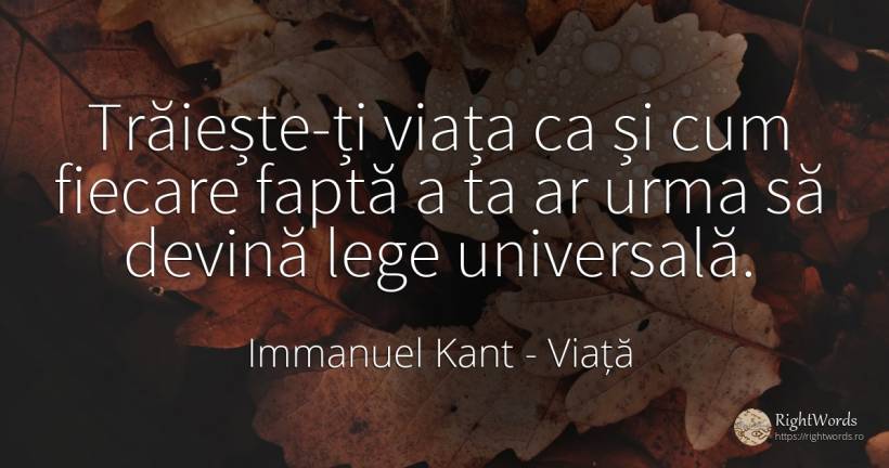 Trăiește-ți viața ca și cum fiecare faptă a ta ar urma să... - Immanuel Kant, citat despre viață, fapte, lege