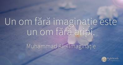 Un om fără imaginație este un om fără aripi.