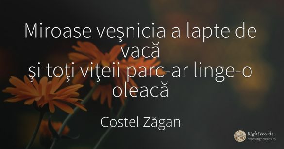 Miroase veşnicia a lapte de vacă şi toţi viţeii parc-ar...