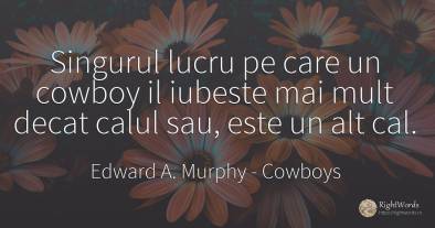 Singurul lucru pe care un cowboy il iubeste mai mult...