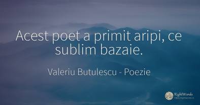 Acest poet a primit aripi, ce sublim bazaie.