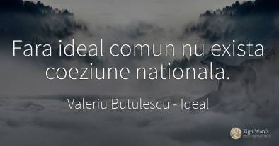 Fara ideal comun nu exista coeziune nationala.