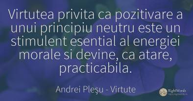Virtutea privita ca pozitivare a unui principiu neutru...