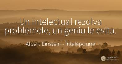 Un intelectual rezolva problemele, un geniu le evita.