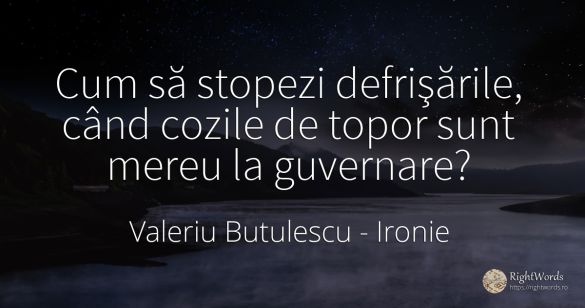 Cum să stopezi defrişările, când cozile de topor sunt...