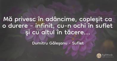 Mă privesc în adâncime, copleşit ca o durere – infinit, ...