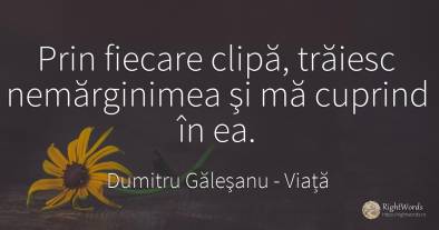 Prin fiecare clipă, trăiesc nemărginimea şi mă cuprind în...