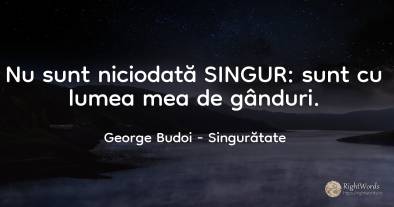 Nu sunt niciodată SINGUR: sunt cu lumea mea de gânduri.