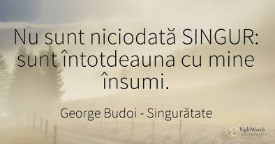 Nu sunt niciodată SINGUR: sunt întotdeauna cu mine însumi.