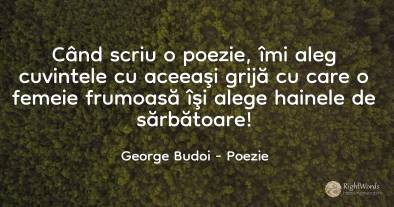 Când scriu o poezie, îmi aleg cuvintele cu aceeaşi grijă...