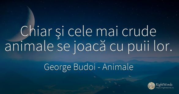 Chiar şi cele mai crude animale se joacă cu puii lor.