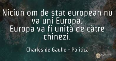 Niciun om de stat european nu va uni Europa. Europa va fi...