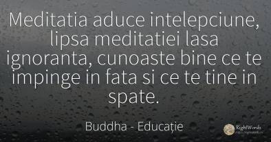 Meditatia aduce intelepciune, lipsa meditatiei lasa...